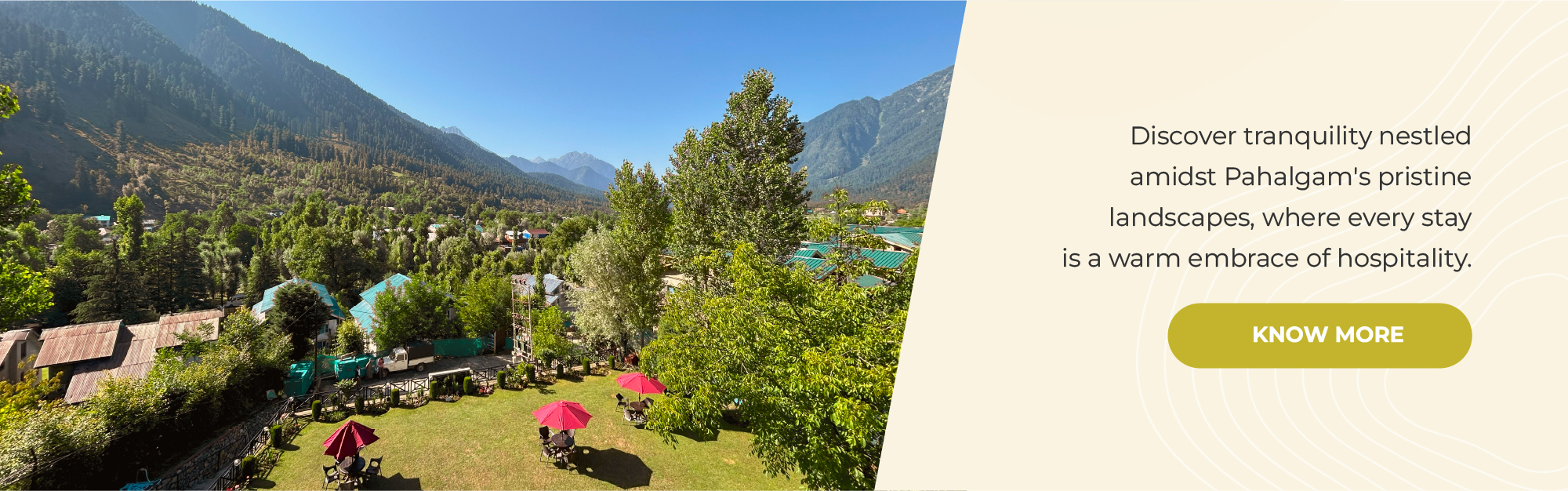 Forest Hill Resorts